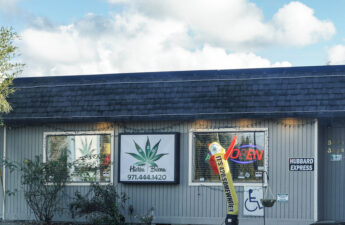 Dispensary storefront with a cannabis leaf sign and neon OPEN sign